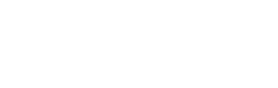Prisma Wide Logo